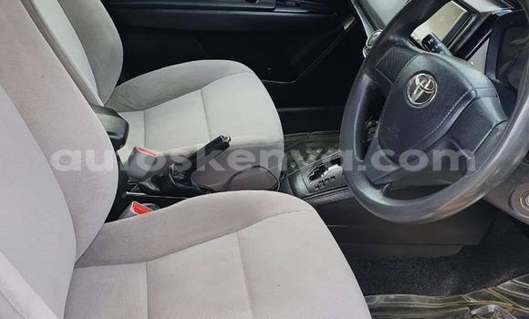 Buy Used Toyota Axio Blue Car in Kiambu in Central Kenya Buy Used Toyota Axio Blue Car in Kiambu in Central Kenya