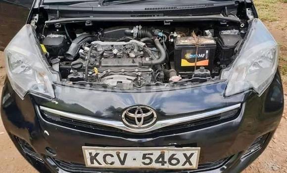 Buy Used Toyota Ractis Black Car in Kiambu in Central Kenya Buy Used Toyota Ractis Black Car in Kiambu in Central Kenya