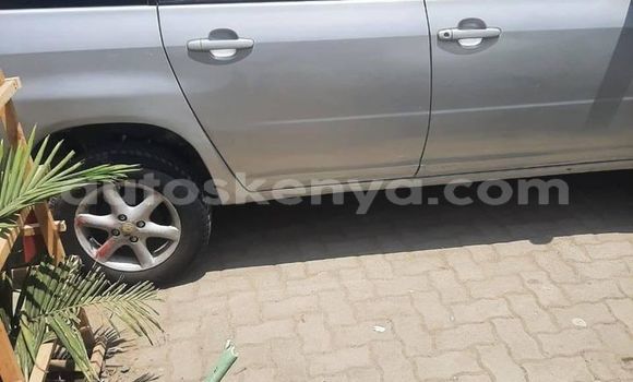 Oofamaa Toyota Probox Silver Makiinaa iti Kiambu keessatti Central Kenya keessatti