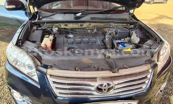 Buy Used Toyota RAV4 Blue Car in Kiambu in Central Kenya Buy Used Toyota RAV4 Blue Car in Kiambu in Central Kenya
