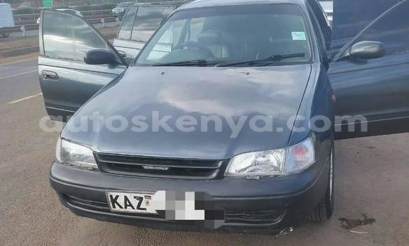 Buy Used Toyota Caldina Blue Car in Nairobi in Nairobi