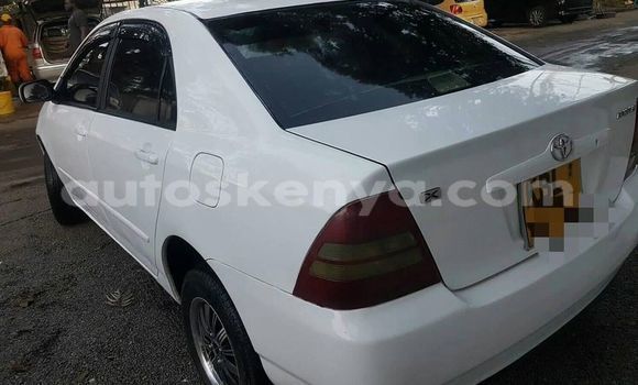 Oofamaa Toyota Corolla White Makiinaa iti Nairobi keessatti Nairobi keessatti Oofamaa Toyota Corolla White Makiinaa iti Nairobi keessatti Nairobi keessatti