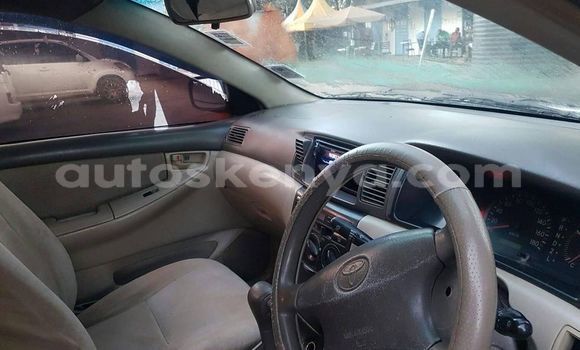 Oofamaa Toyota Corolla White Makiinaa iti Nairobi keessatti Nairobi keessatti Oofamaa Toyota Corolla White Makiinaa iti Nairobi keessatti Nairobi keessatti