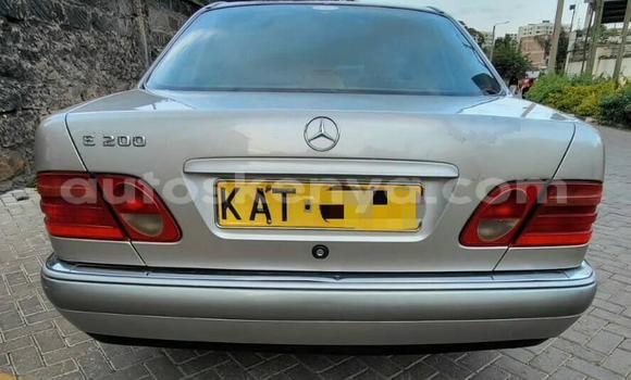 Oofamaa Mercedes‒Benz E–Class Silver Makiinaa iti Nairobi keessatti Nairobi keessatti Oofamaa Mercedes‒Benz E–Class Silver Makiinaa iti Nairobi keessatti Nairobi keessatti
