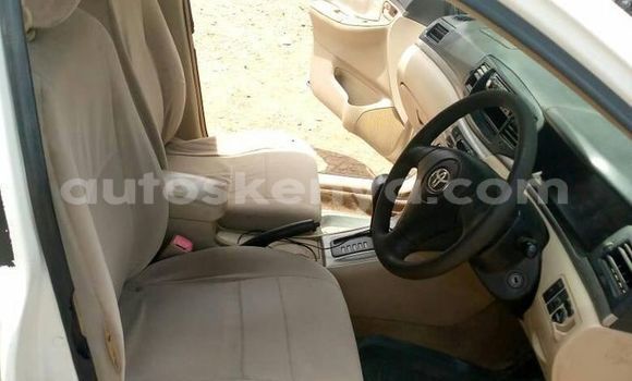 Oofamaa Toyota Runx White Makiinaa iti Nairobi keessatti Nairobi keessatti Oofamaa Toyota Runx White Makiinaa iti Nairobi keessatti Nairobi keessatti