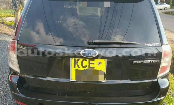 Oofamaa Subaru Forester Black Makiinaa iti Nairobi keessatti Nairobi keessatti Oofamaa Subaru Forester Black Makiinaa iti Nairobi keessatti Nairobi keessatti