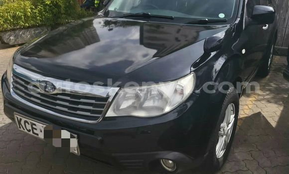 Oofamaa Subaru Forester Black Makiinaa iti Nairobi keessatti Nairobi keessatti Oofamaa Subaru Forester Black Makiinaa iti Nairobi keessatti Nairobi keessatti