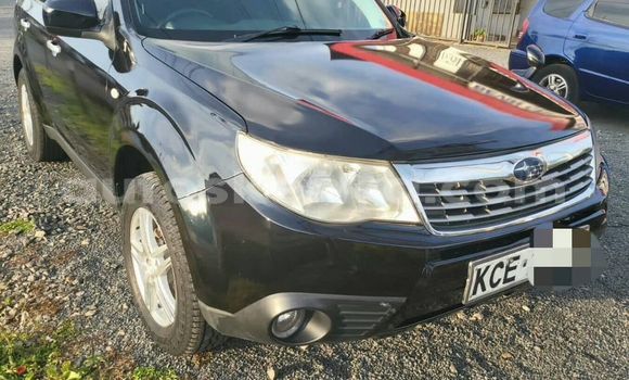 Oofamaa Subaru Forester Black Makiinaa iti Nairobi keessatti Nairobi keessatti Oofamaa Subaru Forester Black Makiinaa iti Nairobi keessatti Nairobi keessatti
