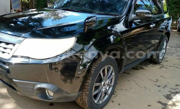 Buy Used Subaru Forester Black Car in Nairobi in Nairobi