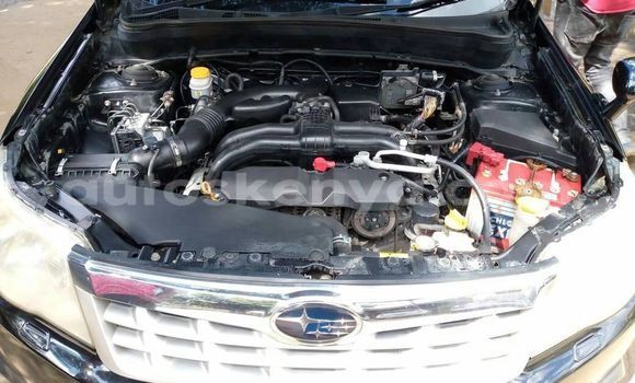 Oofamaa Subaru Forester Black Makiinaa iti Nairobi keessatti Nairobi keessatti Oofamaa Subaru Forester Black Makiinaa iti Nairobi keessatti Nairobi keessatti