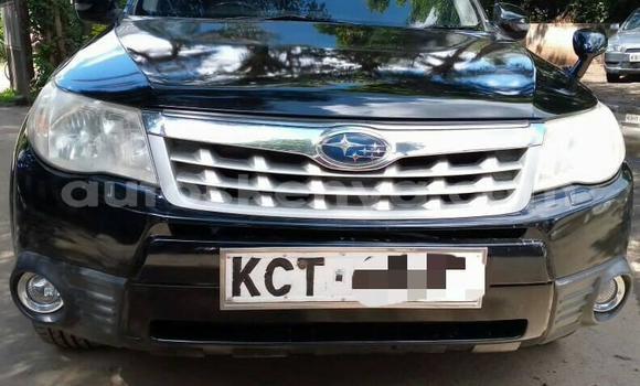 Oofamaa Subaru Forester Black Makiinaa iti Nairobi keessatti Nairobi keessatti Oofamaa Subaru Forester Black Makiinaa iti Nairobi keessatti Nairobi keessatti