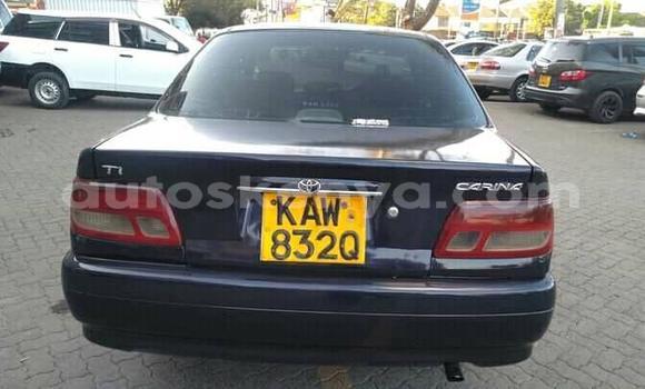 Oofamaa Toyota Carina Blue Makiinaa iti Nairobi keessatti Nairobi keessatti Oofamaa Toyota Carina Blue Makiinaa iti Nairobi keessatti Nairobi keessatti