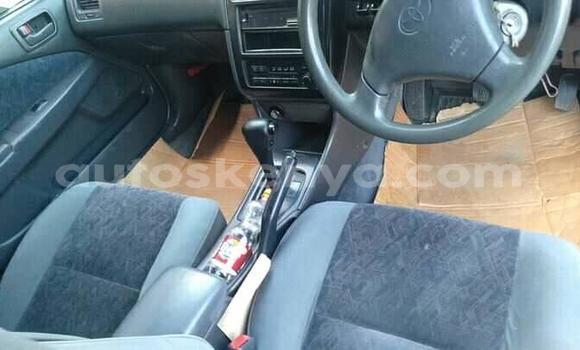 Oofamaa Toyota Carina Blue Makiinaa iti Nairobi keessatti Nairobi keessatti Oofamaa Toyota Carina Blue Makiinaa iti Nairobi keessatti Nairobi keessatti