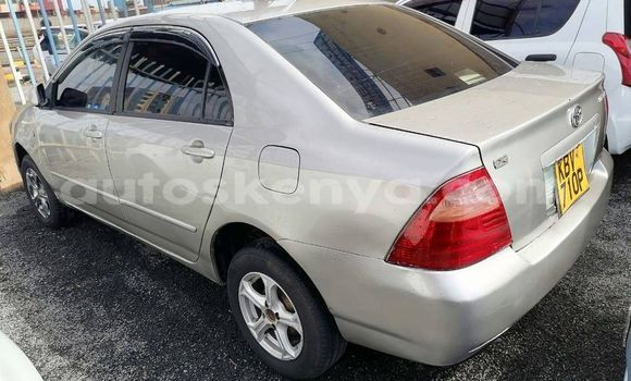 Nunua Ilio tumika Toyota Corolla Fedha Gari ndani ya Nairobi nchini Nairobi Nunua Ilio tumika Toyota Corolla Fedha Gari ndani ya Nairobi nchini Nairobi