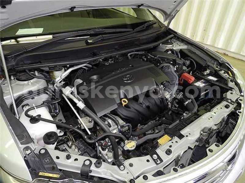 Big with watermark 20