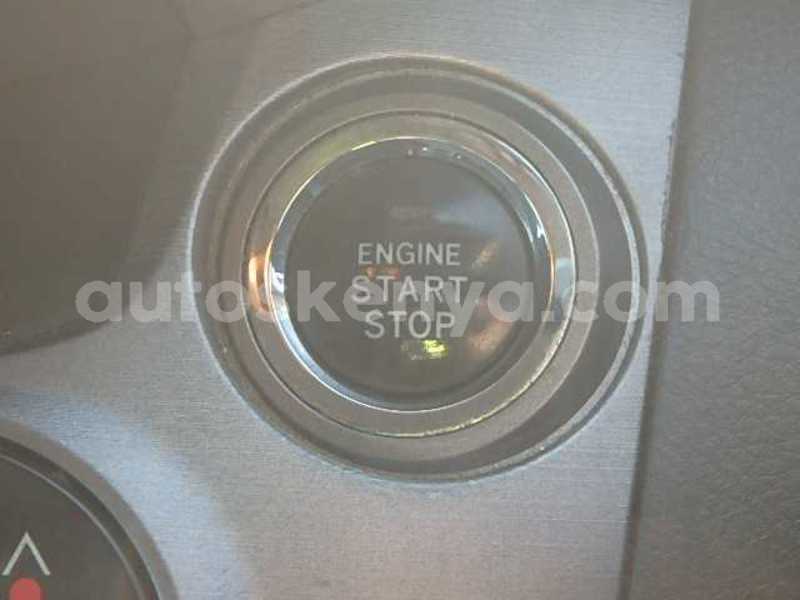 Big with watermark 16