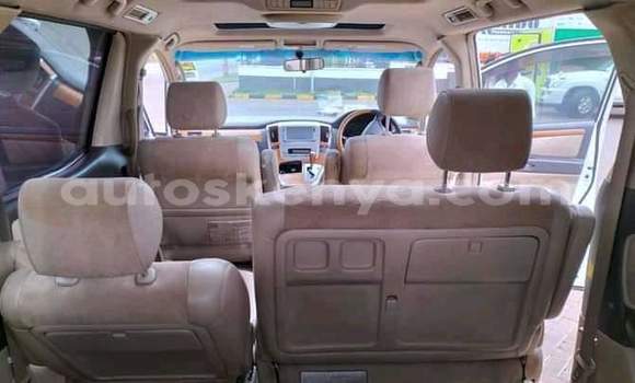 Oofamaa Toyota Alphard White Makiinaa iti Nairobi keessatti Nairobi keessatti Oofamaa Toyota Alphard White Makiinaa iti Nairobi keessatti Nairobi keessatti