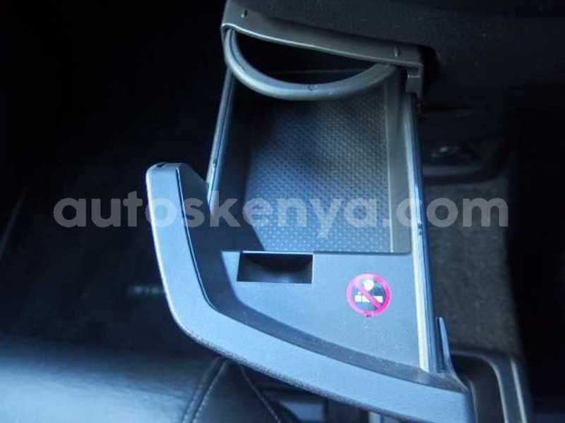 Big with watermark 11