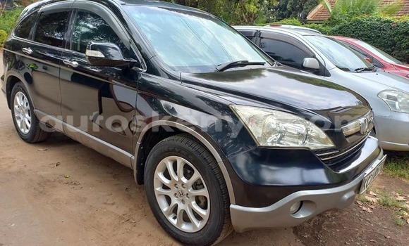 Buy Used Honda CR–V Black Car in Nairobi in Nairobi