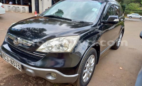 Oofamaa Honda CR–V Black Makiinaa iti Nairobi keessatti Nairobi keessatti Oofamaa Honda CR–V Black Makiinaa iti Nairobi keessatti Nairobi keessatti