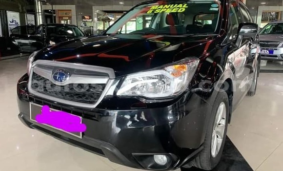 Nunua Ilio tumika Subaru Forester Nyeusi Gari ndani ya Mombasa nchini Kenya ya Pwani Nunua Ilio tumika Subaru Forester Nyeusi Gari ndani ya Mombasa nchini Kenya ya Pwani
