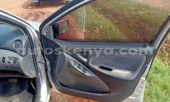 Buy Used Toyota Vitz Silver Car in Embu in East Kenya Buy Used Toyota Vitz Silver Car in Embu in East Kenya
