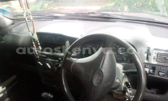 Buy Used Toyota Probox White Car in Nyeri in Central Kenya Buy Used Toyota Probox White Car in Nyeri in Central Kenya