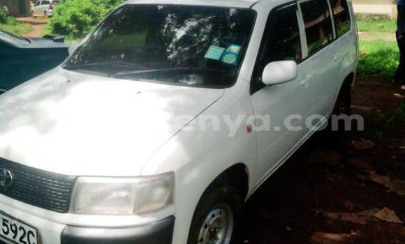 Buy Used Toyota Probox White Car in Nyeri in Central Kenya Buy Used Toyota Probox White Car in Nyeri in Central Kenya