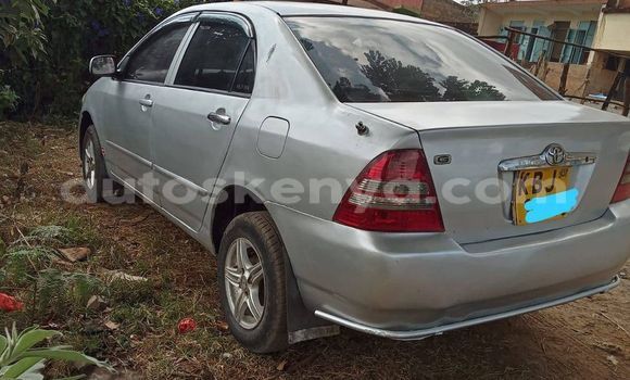 Buy Used Toyota Corolla Silver Car in Nyeri in Central Kenya Buy Used Toyota Corolla Silver Car in Nyeri in Central Kenya