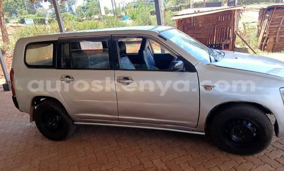 Buy Used Toyota Probox Silver Car in Nyeri in Central Kenya Buy Used Toyota Probox Silver Car in Nyeri in Central Kenya