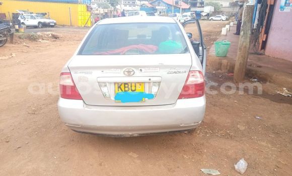 Buy Used Toyota Corolla Silver Car in Nyeri in Central Kenya Buy Used Toyota Corolla Silver Car in Nyeri in Central Kenya