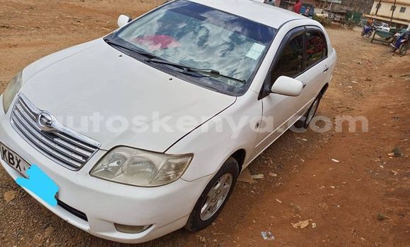 Nunua Ilio tumika Toyota Corolla Nyeupe Gari ndani ya Nyeri nchini Kati Kenya