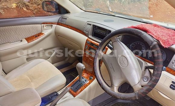 Buy Used Toyota Corolla White Car in Nyeri in Central Kenya Buy Used Toyota Corolla White Car in Nyeri in Central Kenya