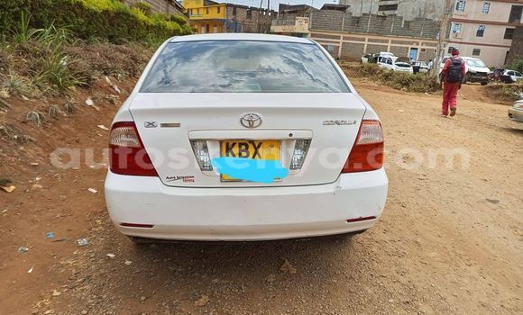 Buy Used Toyota Corolla White Car in Nyeri in Central Kenya Buy Used Toyota Corolla White Car in Nyeri in Central Kenya