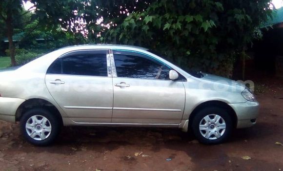 Oofamaa Toyota Corolla Silver Makiinaa iti Nyeri keessatti Central Kenya keessatti
