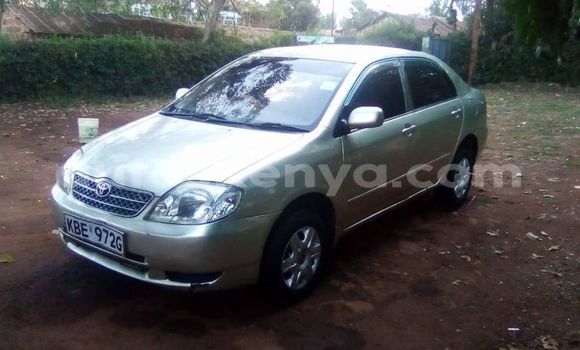 Buy Used Toyota Corolla Silver Car in Nyeri in Central Kenya Buy Used Toyota Corolla Silver Car in Nyeri in Central Kenya