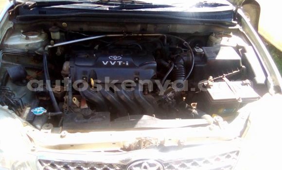 Buy Used Toyota Corolla Silver Car in Nyeri in Central Kenya Buy Used Toyota Corolla Silver Car in Nyeri in Central Kenya