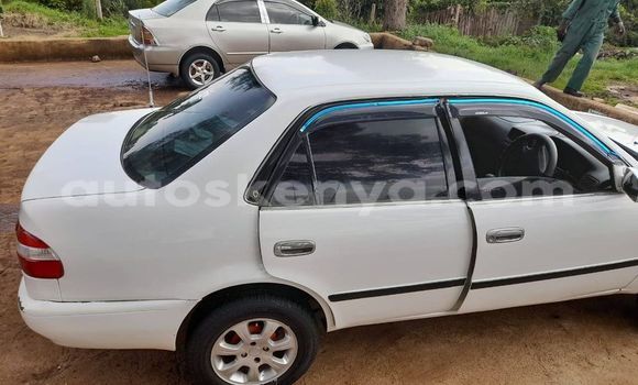 Buy Used Toyota Corolla White Car in Nyeri in Central Kenya Buy Used Toyota Corolla White Car in Nyeri in Central Kenya