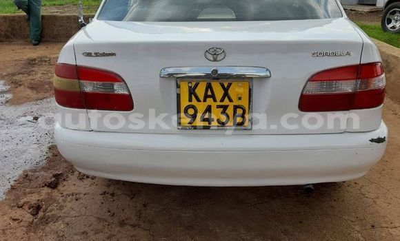 Buy Used Toyota Corolla White Car in Nyeri in Central Kenya Buy Used Toyota Corolla White Car in Nyeri in Central Kenya
