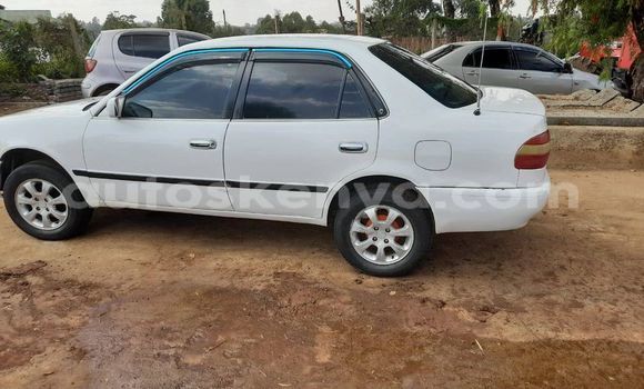 Buy Used Toyota Corolla White Car in Nyeri in Central Kenya Buy Used Toyota Corolla White Car in Nyeri in Central Kenya