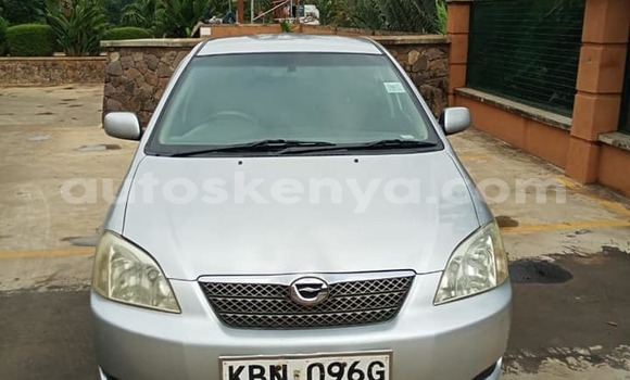 Buy Used Toyota Runx Silver Car in Kiambu in Central Kenya Buy Used Toyota Runx Silver Car in Kiambu in Central Kenya