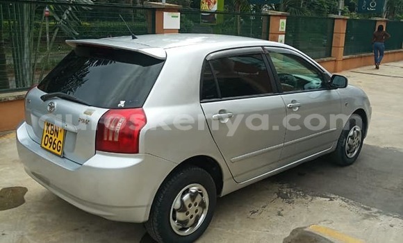 Buy Used Toyota Runx Silver Car in Kiambu in Central Kenya Buy Used Toyota Runx Silver Car in Kiambu in Central Kenya