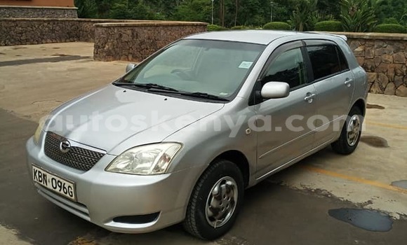 Buy Used Toyota Runx Silver Car in Kiambu in Central Kenya Buy Used Toyota Runx Silver Car in Kiambu in Central Kenya