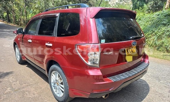Buy Used Subaru Forester Red Car in Kiambu in Nairobi Buy Used Subaru Forester Red Car in Kiambu in Nairobi