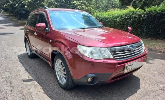 Buy Used Subaru Forester Red Car in Kiambu in Nairobi Buy Used Subaru Forester Red Car in Kiambu in Nairobi