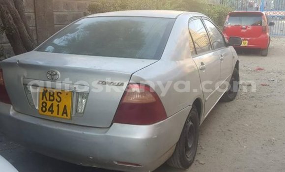 Oofamaa Toyota Corolla Silver Makiinaa iti Nairobi keessatti Nairobi keessatti Oofamaa Toyota Corolla Silver Makiinaa iti Nairobi keessatti Nairobi keessatti
