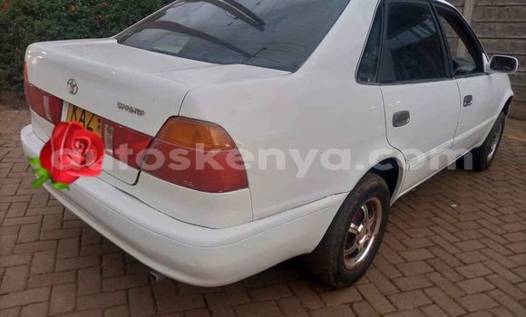 Nunua Ilio tumika Toyota Sprinter Nyeupe Gari ndani ya Nairobi nchini Nairobi Nunua Ilio tumika Toyota Sprinter Nyeupe Gari ndani ya Nairobi nchini Nairobi