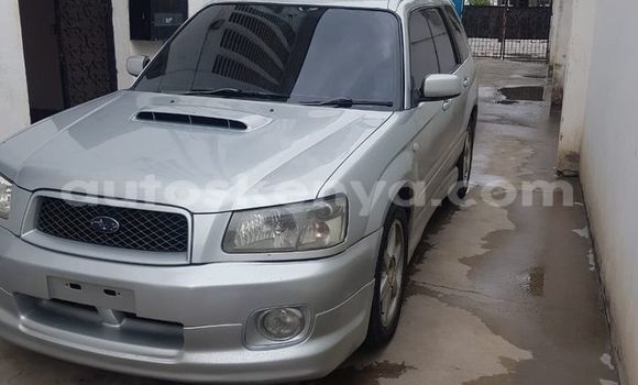 Oofamaa Subaru Forester Silver Makiinaa iti Mombasa keessatti Coastal Kenya keessatti