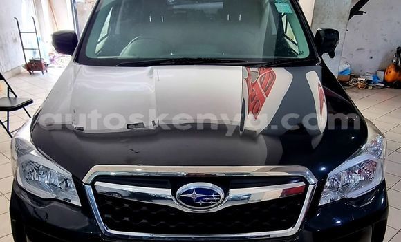 Nunua Ilio tumika Subaru Forester Nyeusi Gari ndani ya Mombasa nchini Kenya ya Pwani Nunua Ilio tumika Subaru Forester Nyeusi Gari ndani ya Mombasa nchini Kenya ya Pwani