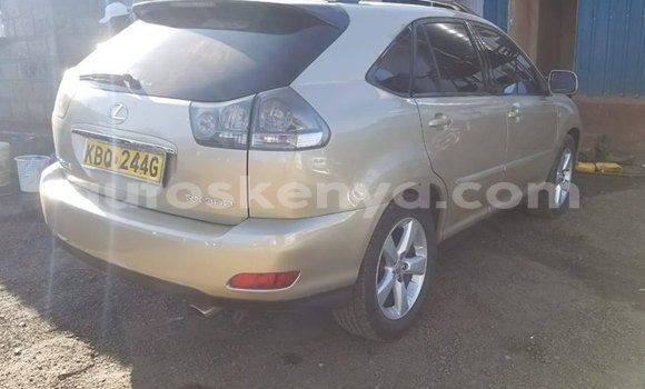 Oofamaa Lexus RX Silver Makiinaa iti Nairobi keessatti Nairobi keessatti Oofamaa Lexus RX Silver Makiinaa iti Nairobi keessatti Nairobi keessatti